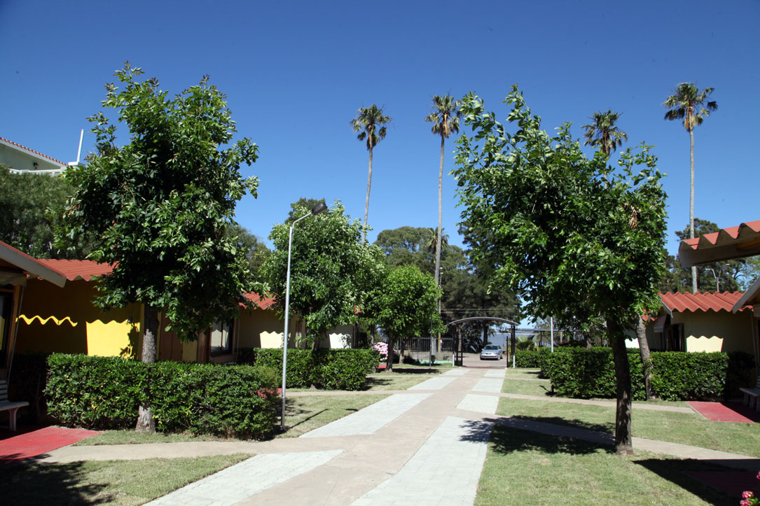cab_19_12_003